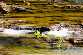 国产春色在线,探寻中国电影中的青春与色彩